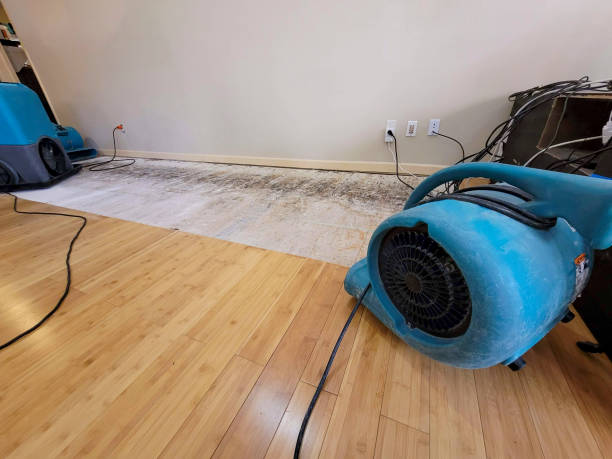 Professional Water Damage Repair technician working in Curlew, WA