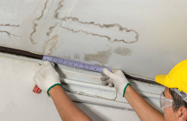 Affordable Water Damage Repair solutions in Curlew, WA